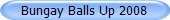 Bungay Balls Up 2008